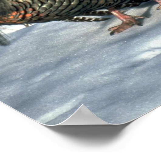 Oosterse wilde kalkoen, enorme gobbler in volle kr poster (Hoek)