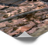 Oosterse wilde kalkoenen in bossen poster (Hoek)