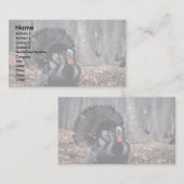 Oosterse wilde kalkoenen in bossen visitekaartje (Voorkant / Achterkant)