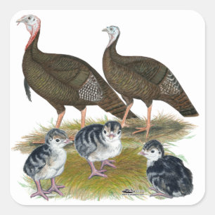 Oosterse Wilde Kalkoenenfamilie Vierkante Sticker