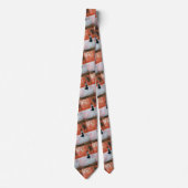 Oosterse zonsondergang schilderij van Alfred Fox Stropdas (Voorkant)