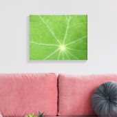 Oostindische Kers Blad Canvasprint Canvas Afdruk (Insitu (Woonkamer))