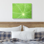 Oostindische Kers Blad Canvasprint Canvas Afdruk (Insitu (Slaapkamer))