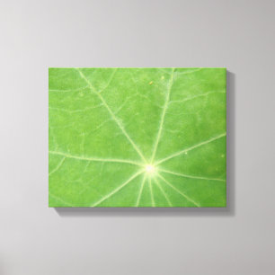 Oostindische Kers Blad Canvasprint Canvas Afdruk