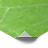 Oostindische Kers Bladprint Poster (Hoek)