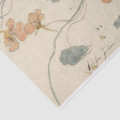 Oostindische Kers door Elias van Nijmegen Tissuepapier (Detail)