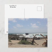 Oostkust van Cozumel Briefkaart (Voorkant / Achterkant)