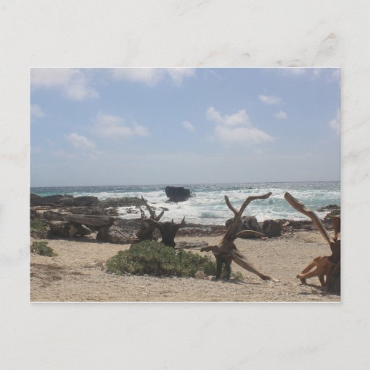Oostkust van Cozumel Briefkaart (Voorkant)