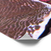 Oozing Octopus Poster (Hoek)