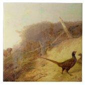 Op 1 oktober jongstleden lopen de fazanten op (zie tegeltje (Voorkant)