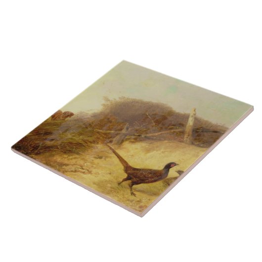 Op 1 oktober jongstleden lopen de fazanten op (zie tegeltje (Zijkant)