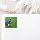 op 23 oktober etiket (Insitu)