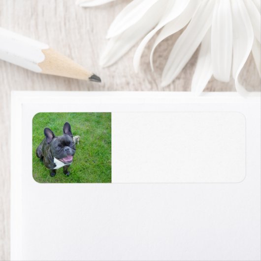 op 23 oktober etiket (Insitu)