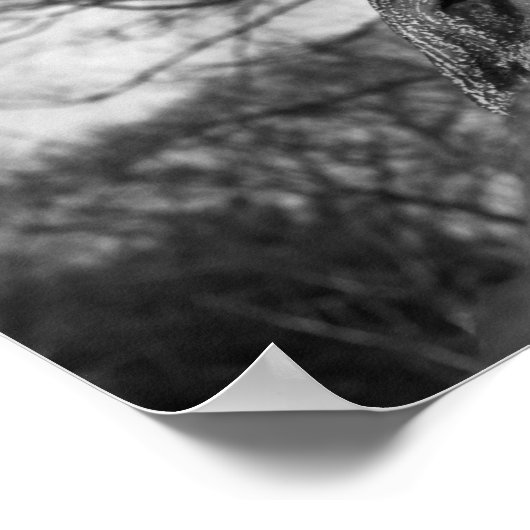 Op afstand poster (Hoek)