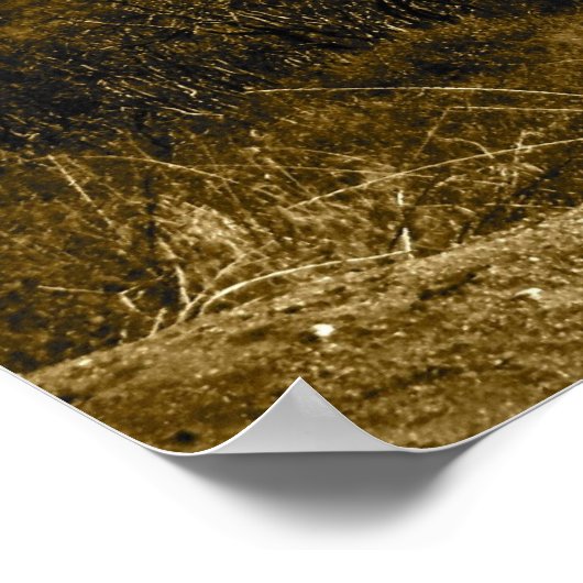 Op afstand poster (Hoek)