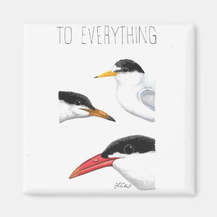 Op alles Tern, Tern, Tern Magneet