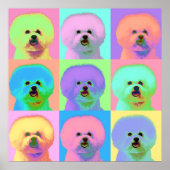 Op Art - Bichon Frise - Cody Poster (Voorkant)