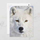 op close en personal.jpg briefkaart (Voorkant / Achterkant)