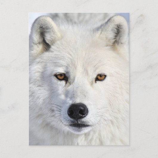 op close en personal.jpg briefkaart (Voorkant)