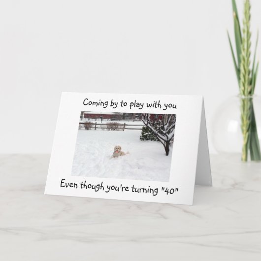 OP DE BALK ZELFS BIJ "40" BIRTHDAY-KAART KAART (Voorkant)