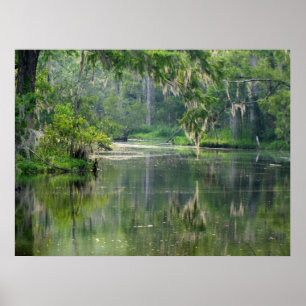 Op de Bayou Poster