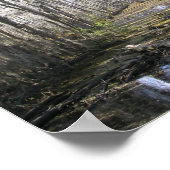 Op de Bayou Poster (Hoek)