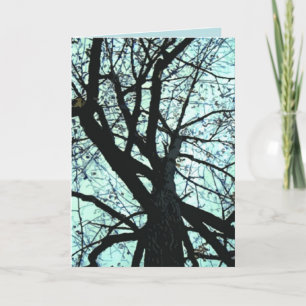 Op de boomgaard kaart