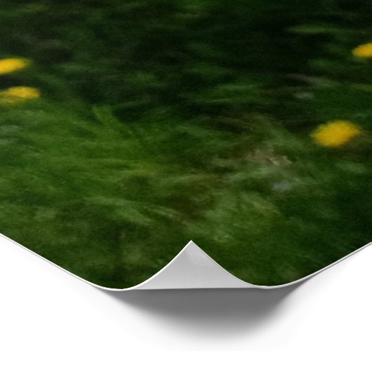 Op de boughs van bloesems poster (Hoek)