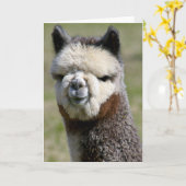Op de Dichte Grijze Kaart van de Alpaca (Gele Bloem)