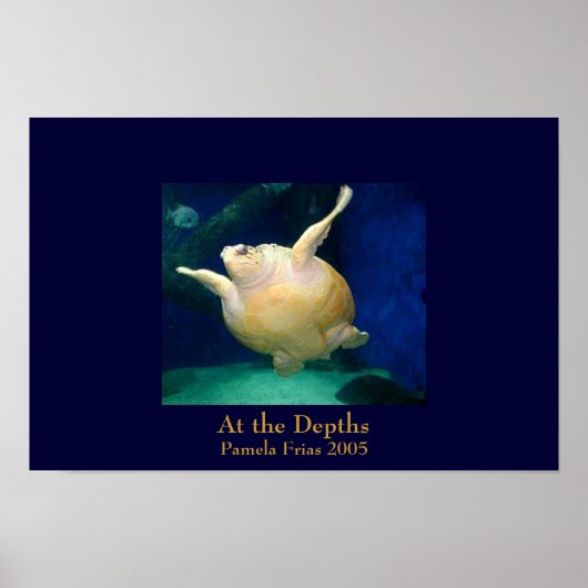 Op de diepten poster (Voorkant)