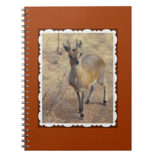 Op de dierentuin notitieboek