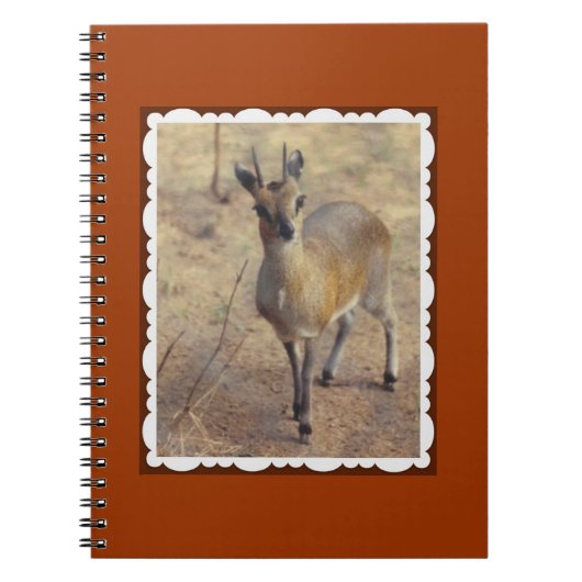 Op de dierentuin notitieboek (Voorkant)