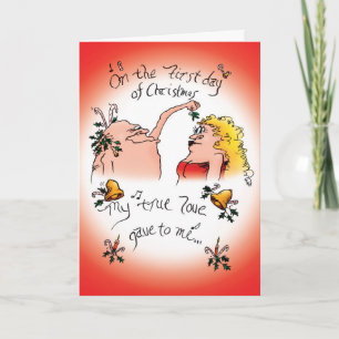 Op de eerste dag van de Kerstmis kreeg ik de vogel Feestdagen Kaart