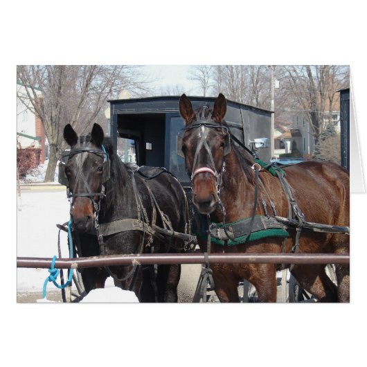 Op de Hitching Post (Voorkant Horizontaal)