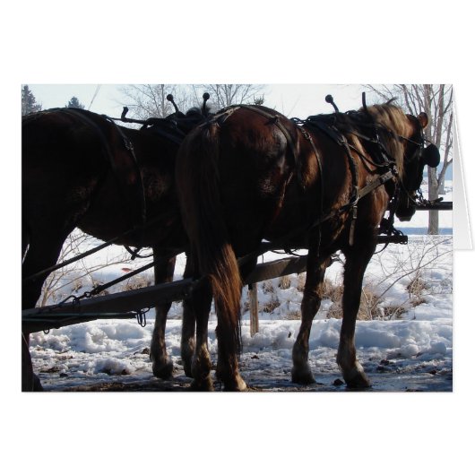 Op de Hitching Post (Voorkant Horizontaal)