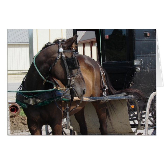 Op de Hitching Post (Voorkant Horizontaal)