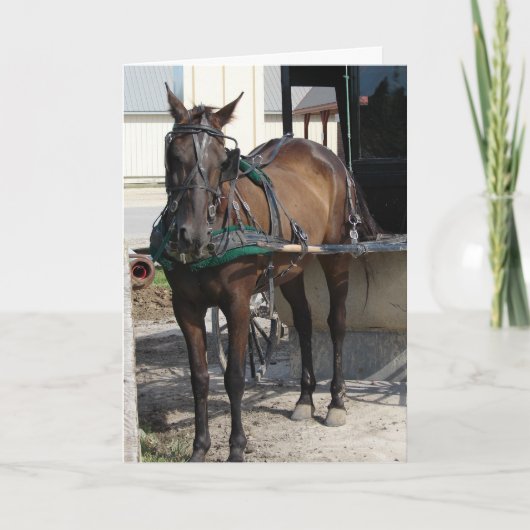 Op de Hitching Post Birthday Kaart (Voorkant)