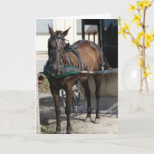 Op de Hitching Post Birthday Kaart (Gele Bloem)