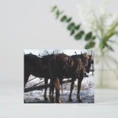 Op de Hitching Post Briefkaart (Staand voorkant)