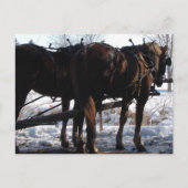 Op de Hitching Post Briefkaart (Voorkant)