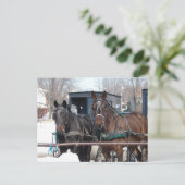Op de Hitching Post Briefkaart (Staand voorkant)