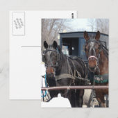 Op de Hitching Post Briefkaart (Voorkant / Achterkant)