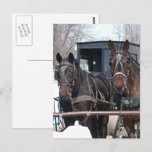 Op de Hitching Post Briefkaart (Voorkant / Achterkant)