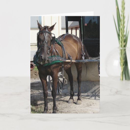 Op de Hitching Post Kaart (Voorkant)