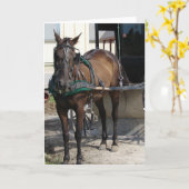 Op de Hitching Post Kaart (Gele Bloem)