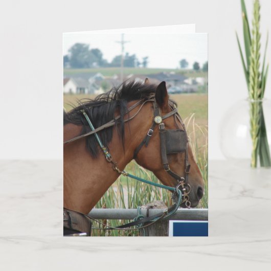 Op de Hitching Post Kaart (Voorkant)