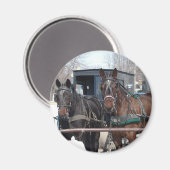 Op de Hitching Post Magneet (Voorkant / Achterkant)