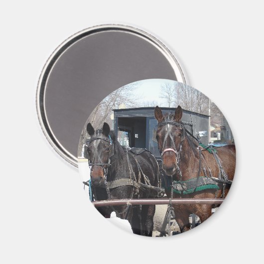 Op de Hitching Post Magneet (Voorkant / Achterkant)