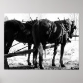 Op de Hitching Post Poster (Voorkant)