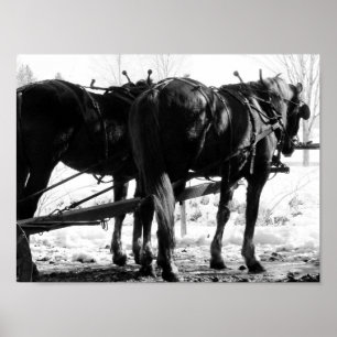 Op de Hitching Post Poster